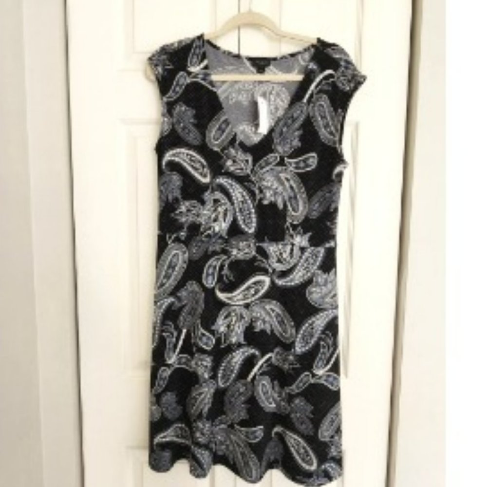 Ann Taylor Factory Blue Casual Paisley dress